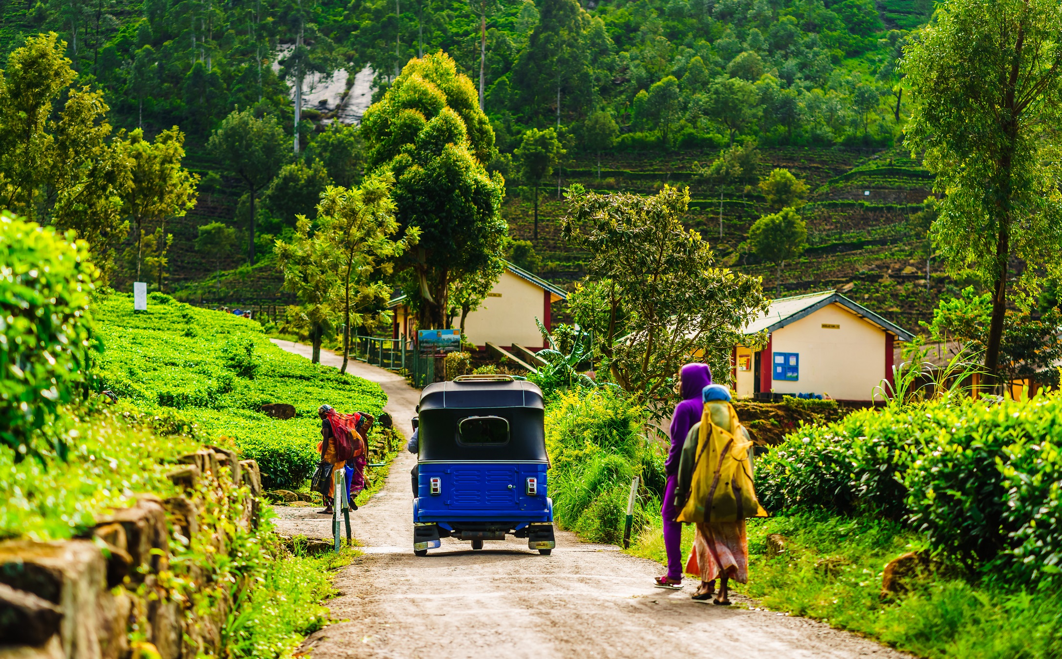 Sri Lanka, Pays de l'Or Vert